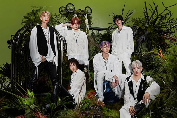 Knewsinfo P1Harmony have dropped their music video for "Jump".