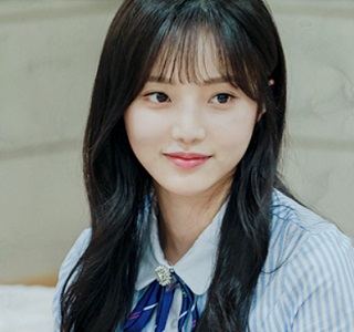 knews.info K-DRAMA ミスター期間制