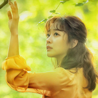 knews.info K-DRAMA フォレスト