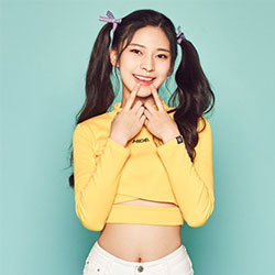 knews.info K-POP  apple.b2.jpg