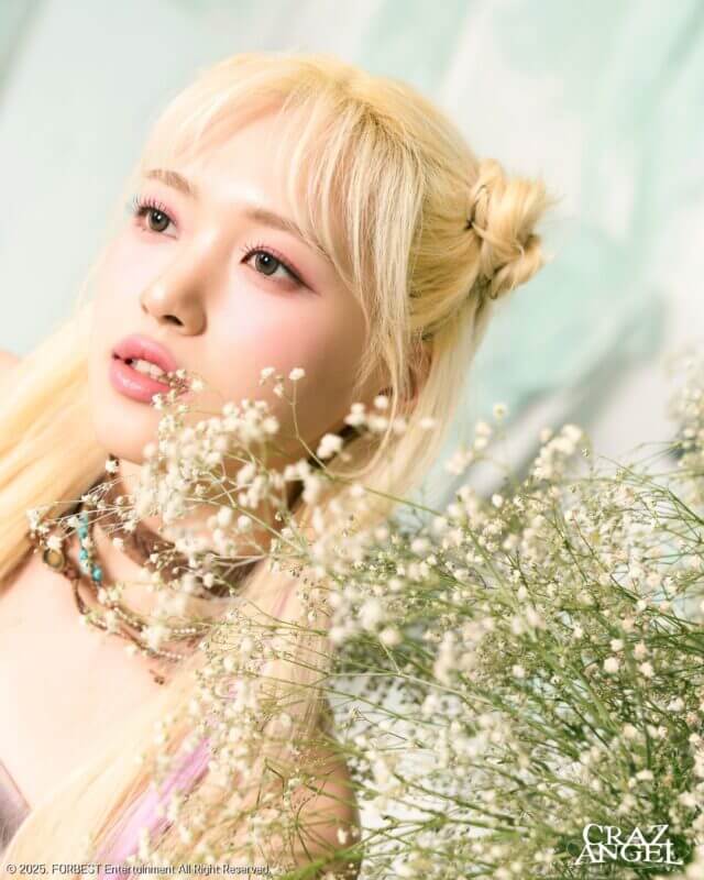 knews.info K-POP  crazangel2.jpg
