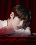 knews.info K-POP  enhypen5.jpg