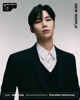 knews.info K-POP  ninei4.jpg