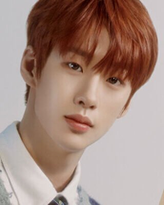 knews.info K-POP  nssign2.jpg