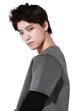 knews.info K-POP  seventeen8.jpg