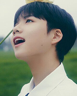 knews.info K-POP  thewind6.jpg